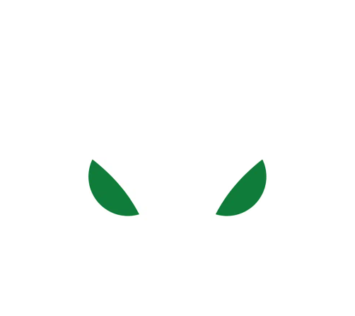 Usnighthawk logo