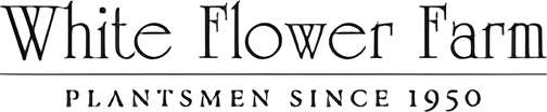 White Flower Farm logo