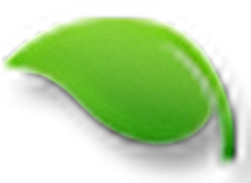 Precision Roller logo