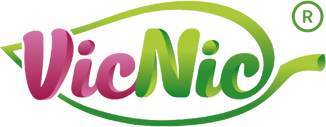 VicNic.com logo