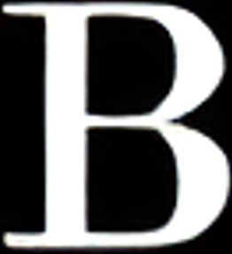 BAGYOHO - Shop Bags | Shop Fashion logo