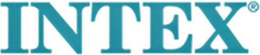 Intex logo