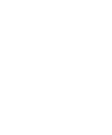 Wasson Watch Co. logo