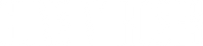Guns N' Roses Official Store logo