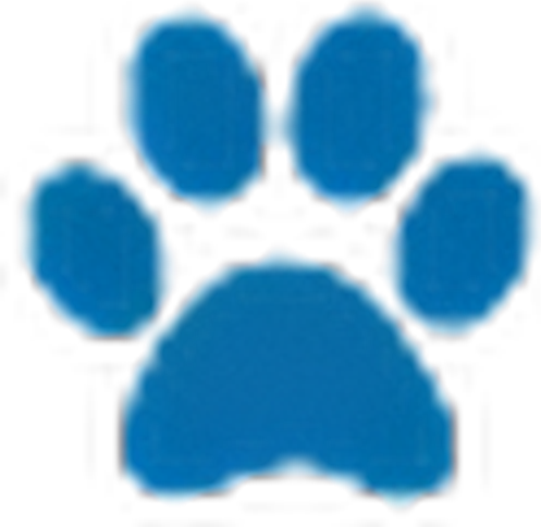 ToeGrips logo