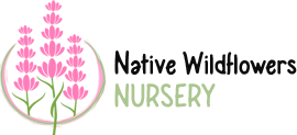 Native Wildflowers Nursery logo
