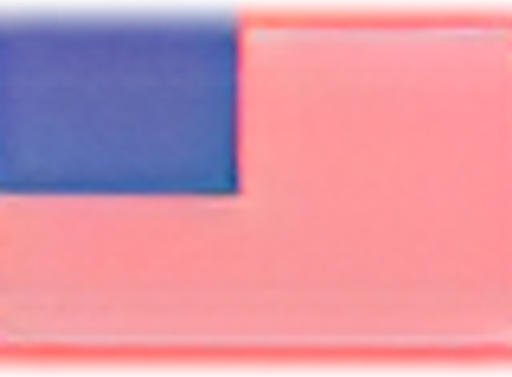 Wacoal logo