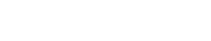 Salt Water Sandals logo