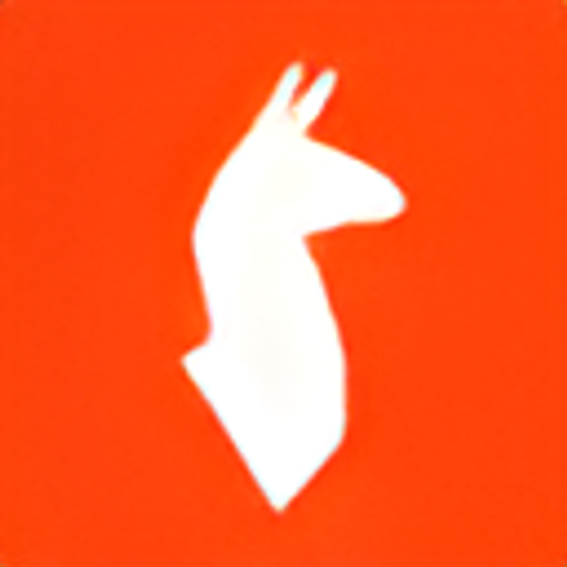 Cotopaxi logo