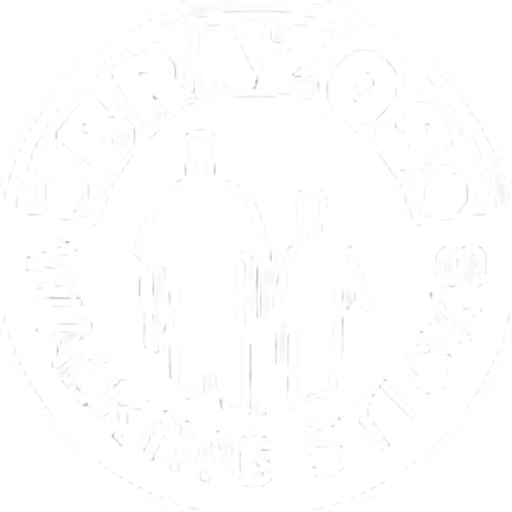 Brazos Walking Sticks logo