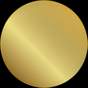 Evivo logo