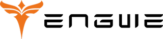ENGWE USA Official logo