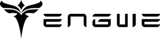 ENGWE USA Official logo