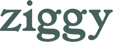Ziggy logo