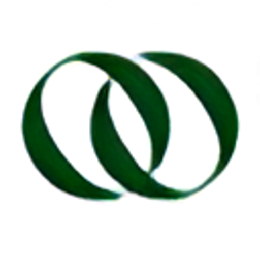 Boisson logo