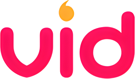 VidDay logo