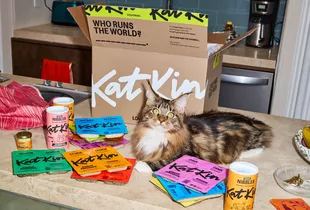 KatKin logo
