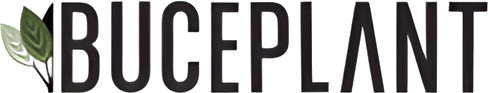 Buce Plant logo