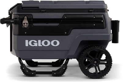 Igloo logo