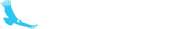 Kondor Blue logo