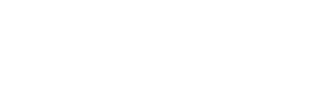 Hot Octopuss logo
