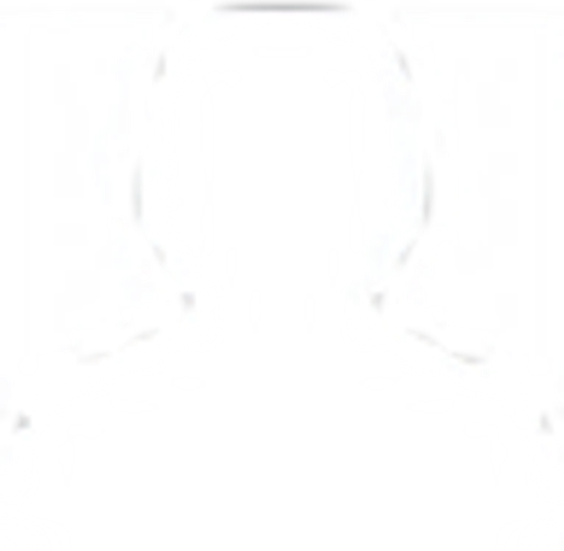 Transition Bikes logo