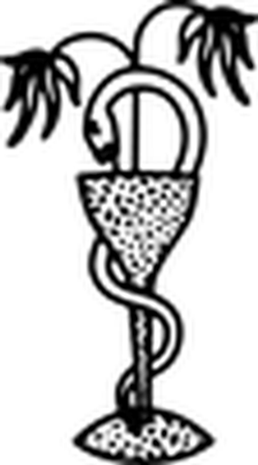 Willie's Remedy logo
