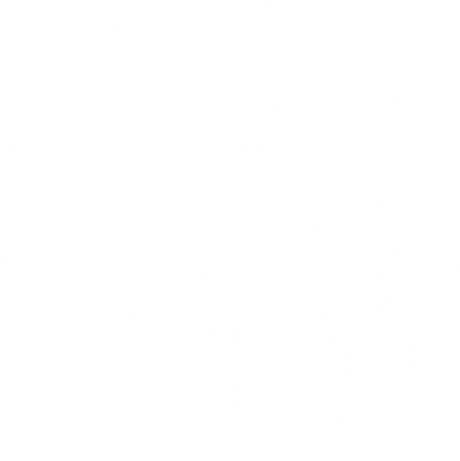 Tundrik logo