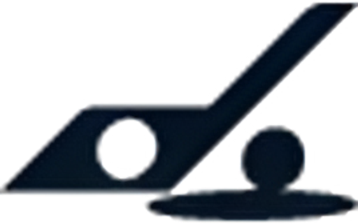 Dormie Golf Workshop USA Inc logo