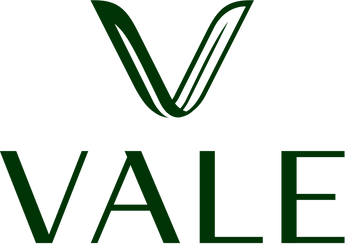 Vale Healthy Kitchen logo