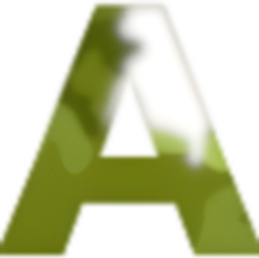 Army & Outdoors - USA logo