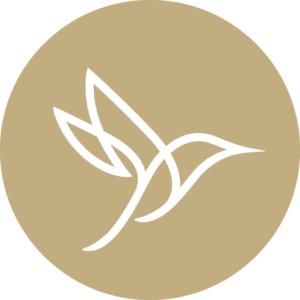 Allied Schools logo