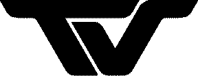 Trendt Vision logo