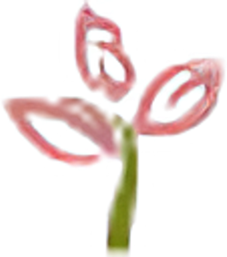 Buy Natural Skin Care logo