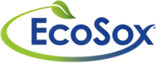EcoSox logo