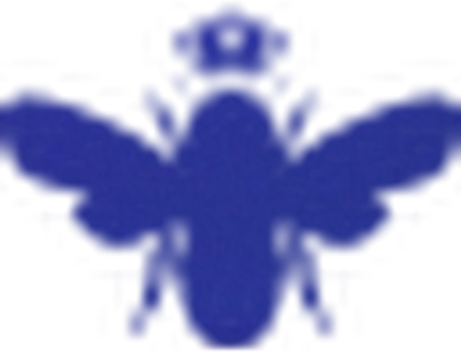 Bombas logo