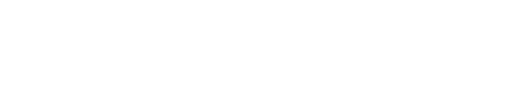Lightning in a Bottle 2026 logo