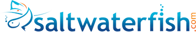 Saltwaterfish logo