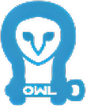 Owl Outdoor logo