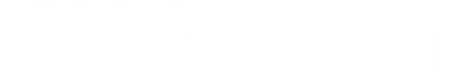 Akamai Basics logo