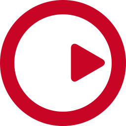 Steinberg logo