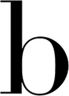 Bag-all logo
