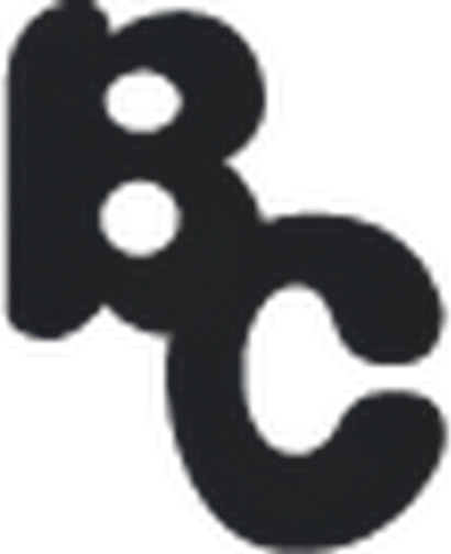 bigcountrytoys.com logo