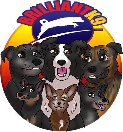 BrilliantK9 logo