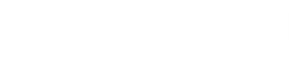 Castlebeard logo