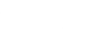 Wellbots logo