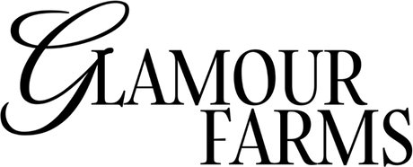 Glamour Farms Boutique logo