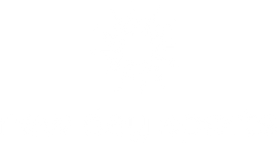 New Day Sports logo