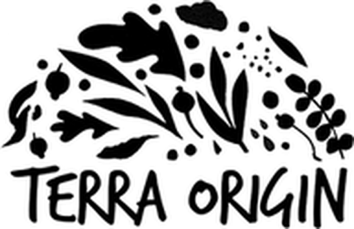 Terra Origin logo