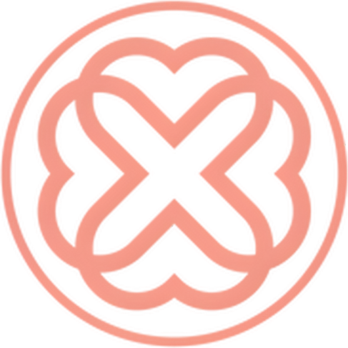 Blush Boutique & Spa logo